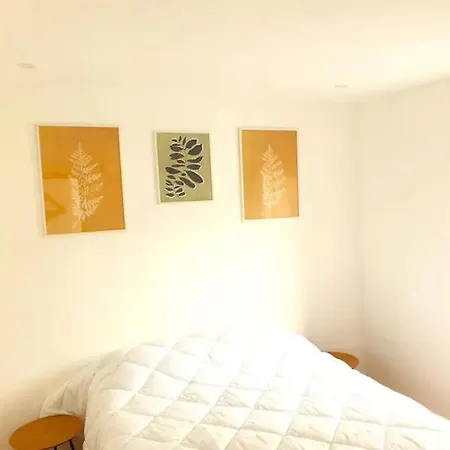 Caso Do Canto - Terra * Ferreira do Zêzere