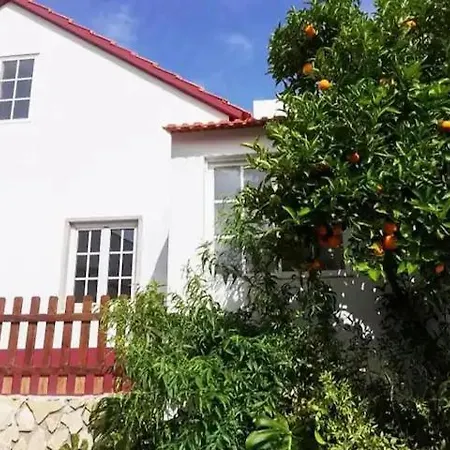 Caso Do Canto - Terra Holiday home Ferreira do Zezere